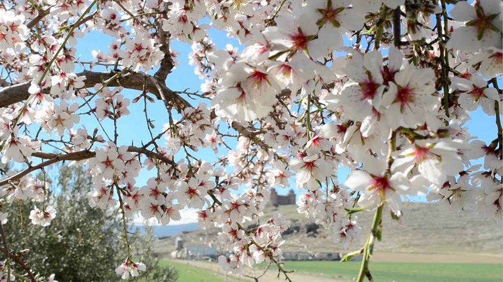 Hospederia Del Zenete Otel La Calahorra Dış mekan fotoğraf